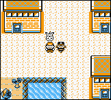squirtle.png