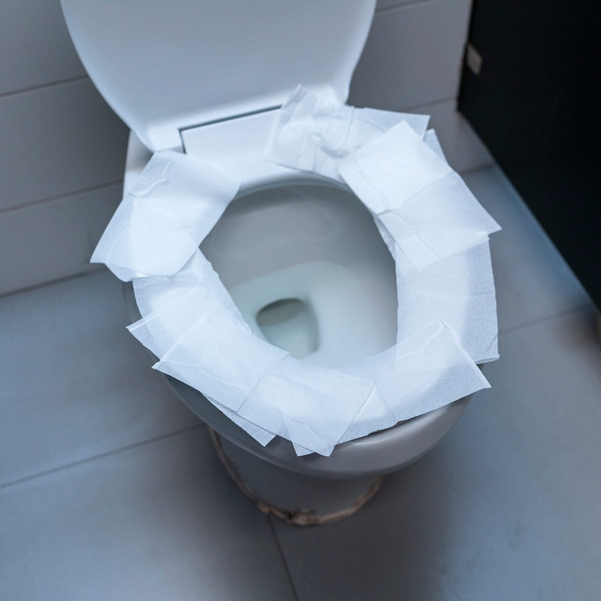 shutterstock_616457888-Toilet.jpg