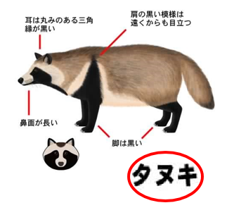 Qe7BPHL.png