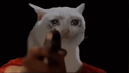 Real+sad+cat+hours_5d98ca_7169732.gif