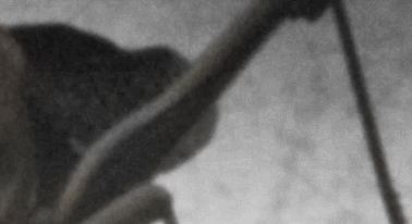ixbpf7X.gif