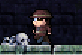 cc21.gif