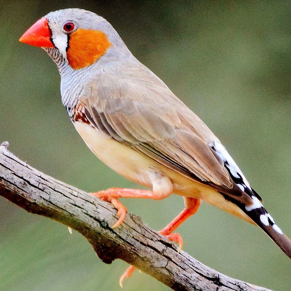 mQUzs8L.jpg