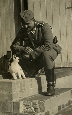 a976e52e8f11a10c8428a0fb084c1516--german-soldier-kitty-cats.jpg