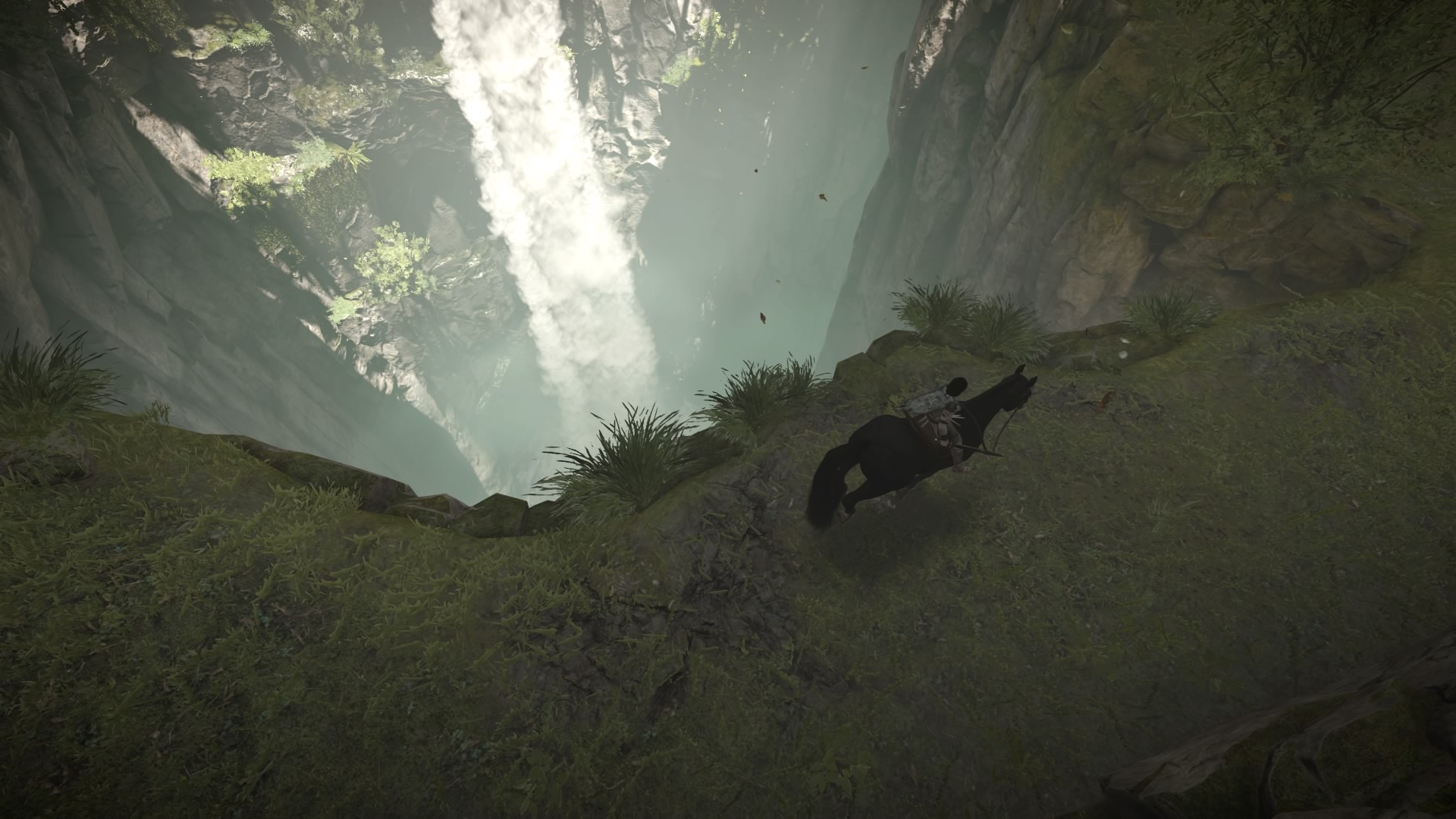 SHADOW_OF_THE_COLOSSUS_20180216154909.jpg