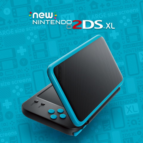 2dsxl_1.jpg