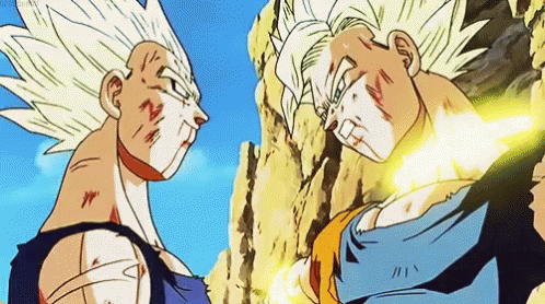dragon-ball-bitch.gif
