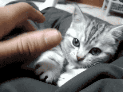 tumblr_mm9n3sdycy1ry1y7qo7_400.gif