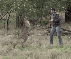 200.gif