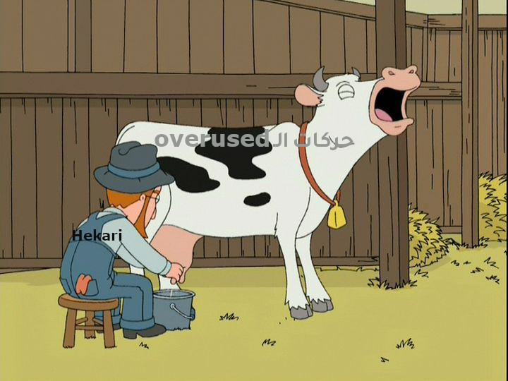 kFDaxEk.jpg