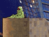 176676916319611.gif