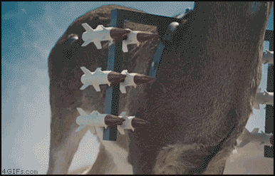 deer.gif