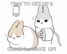 machi-plug.gif