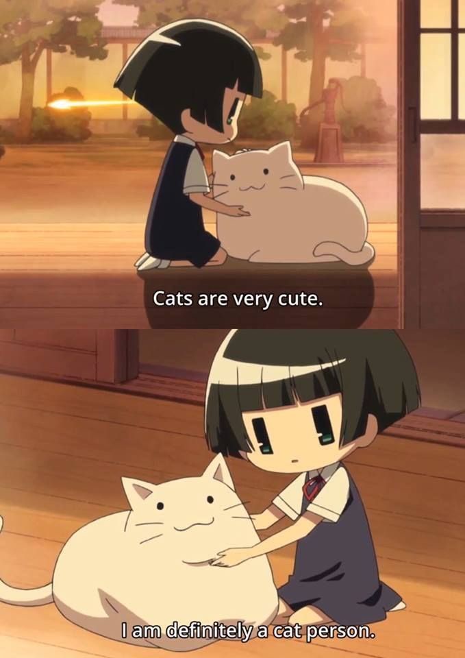 m2f1nib.jpeg
