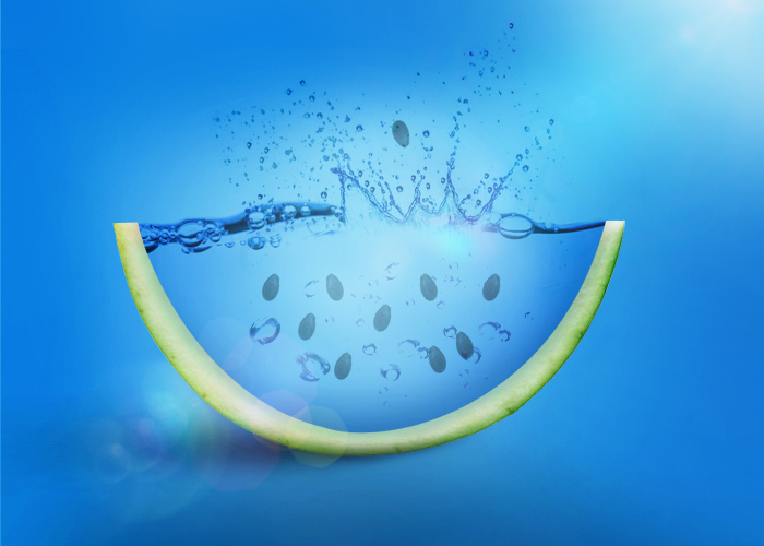 watermelon_by_kjsonata-d6tgkx5.jpg