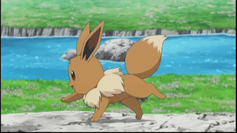 tumblr-7dcbe053c1bd521f8f81a0631c0dbb66-b493f9c2-500.gif