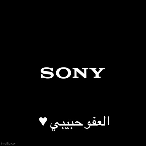 6554q5.jpg