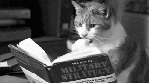 cat-plans.gif