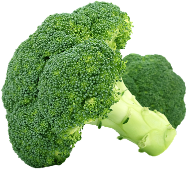 %D8%A8%D8%B1%D9%88%D9%83%D9%84%D9%8A.png