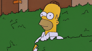 pkVeH3H.gif