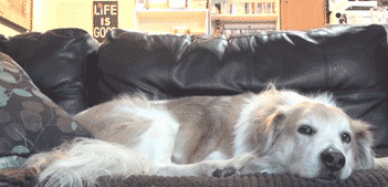 4hqJQd3.gif