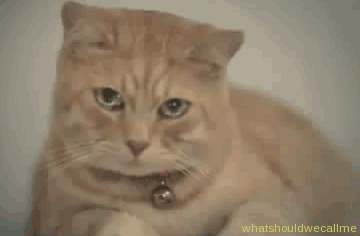 uMigm.gif
