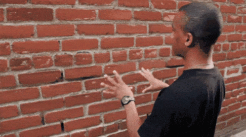 dono-wall.gif