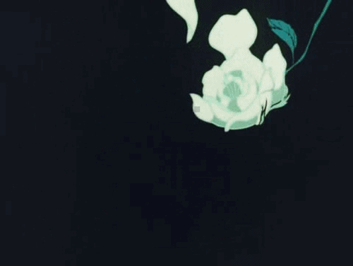 tumblr_mpw95gMyXE1qlbl2po1_500.gif