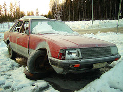 74194307_0c76c84b5b_m.jpg