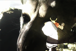 tumblr_mrkw90yuYz1rolhqjo6_r1_250.gif