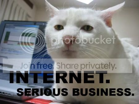 internet-serious-business-cat-thumb.jpg