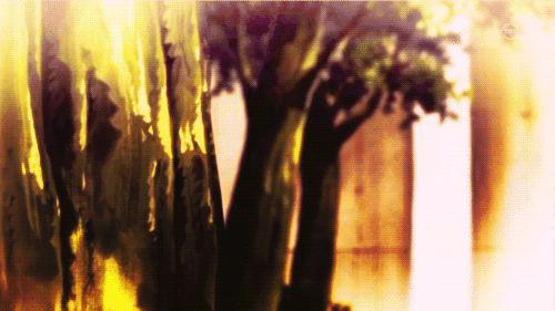 tumblr_mlo3sfbRUi1s4ugiyo1_500.gif