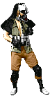 a1.gif