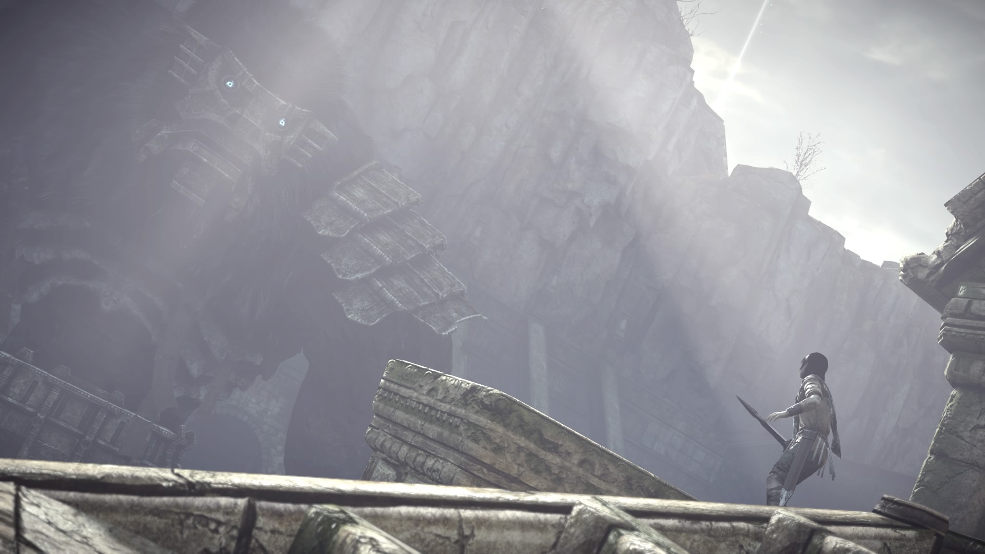SHADOW_OF_THE_COLOSSUS_20180217085719.jpg