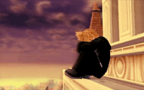 W2fzS5X.gif