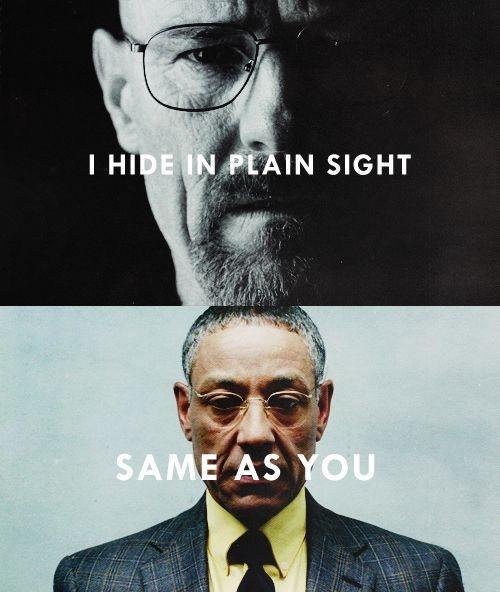 Skfaaf2.jpg