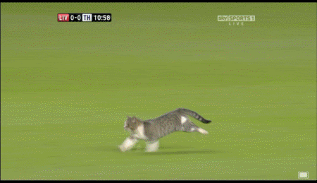 21b8a2rjpg.gif
