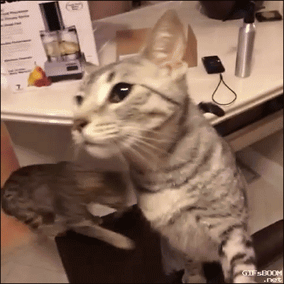 cw4zud6.gif