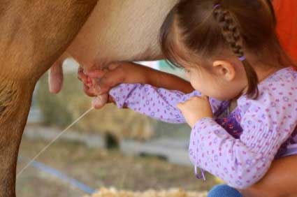 LittleGirlMilking.jpg