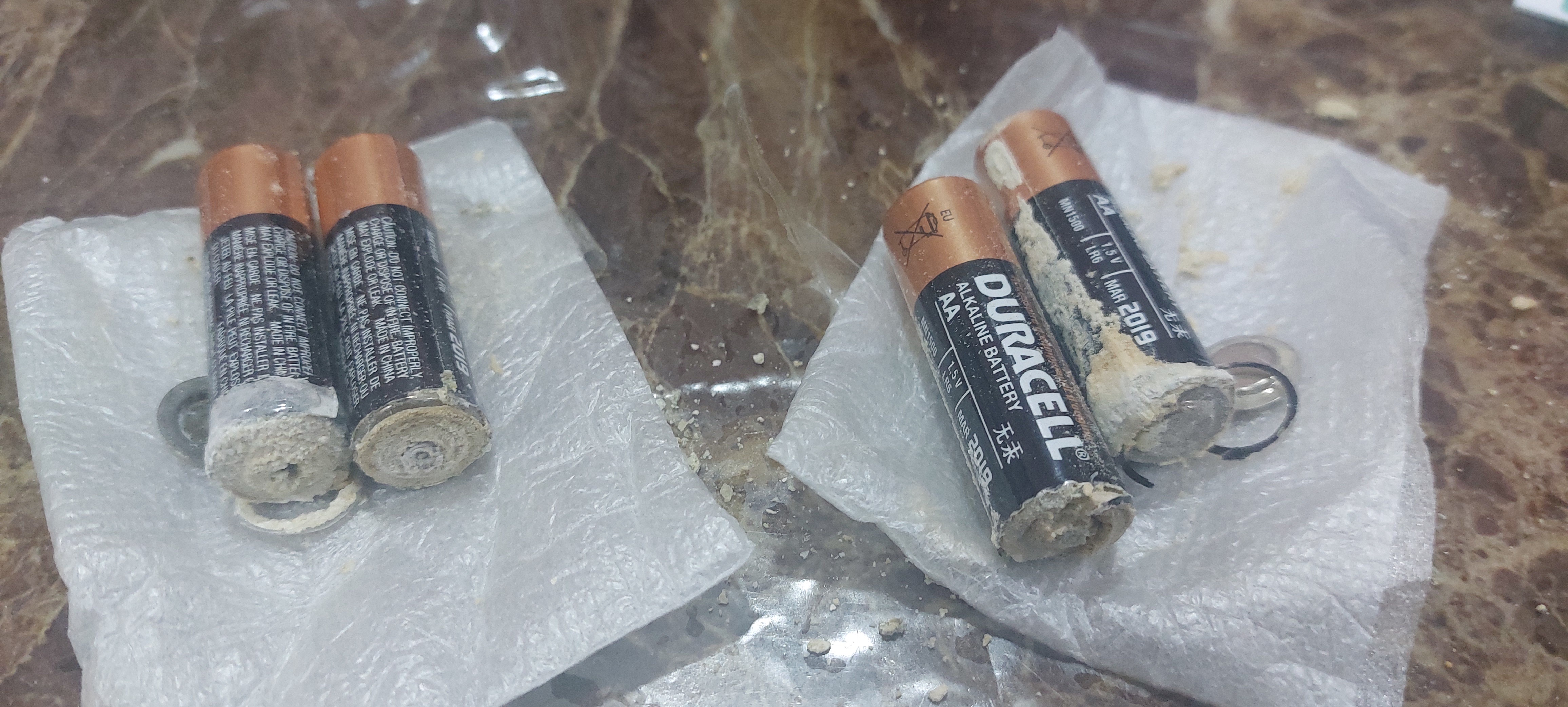 gmfeee8.jpeg