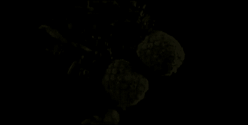 tumblr_mdi366CwkX1r3gb3zo1_500.gif
