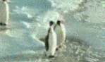 funny_gif_by_luckygay-d41azey.gif
