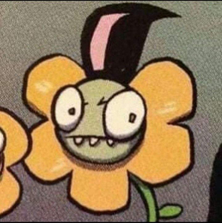 fNtSrkv.jpg