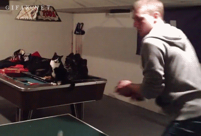 tumblr_mwmo7pj8G01qewacoo9_r1_400.gif