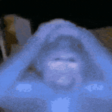 monkey-confused-monkey.gif