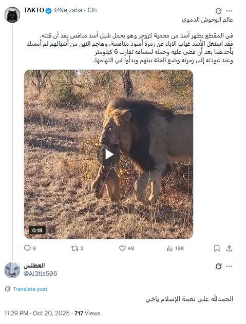 twitter-7.jpg
