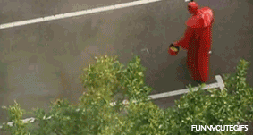 tumblr_mcdksdkQtW1rc8ucwo1_400.gif