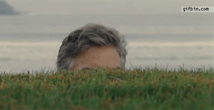 6EPI.gif