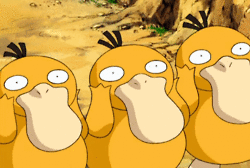 8R5E.gif