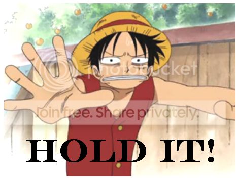 luffy-holdit.jpg